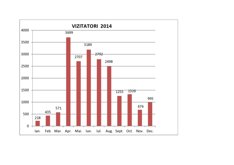 STATISTICA VIZITATORI 2014-page0001
