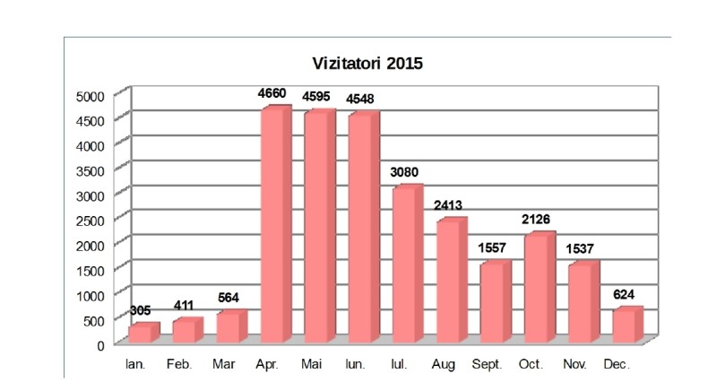 grafic vizitatori 2015-page0001