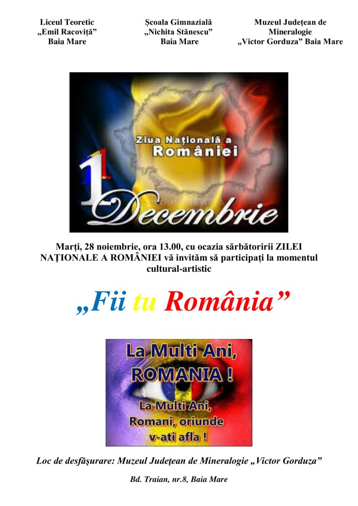 Fii tu Romania 2017 fin-1